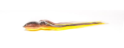 Bonze-Lures-Gamefishing-Marlin-Sportifshing-Custom-COLOUR-29-Brown/Yellow