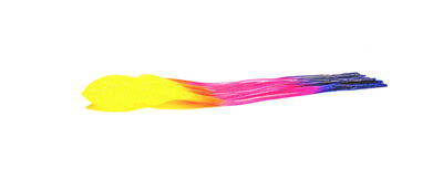 Bonze-Lures-Gamefishing-Marlin-Sportifshing-Custom-COLOUR-08-Rainbow